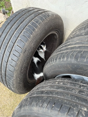 Vand roti vara Ford Kuga mk2 - imagine 5