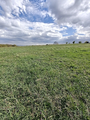  Teren intravilan compact, cu suprafață de 3.000 mp