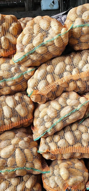 Cartofi de vânzare mai multe detalii in privat 