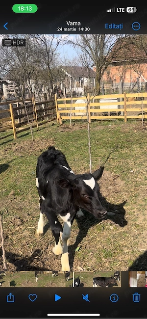 vand ce se vede - imagine 2