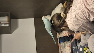 Micul alexandru de 1 an albastru