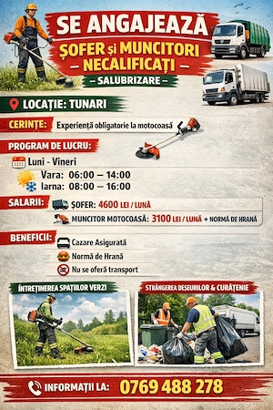 Muncitori necalificați   Salubrizare