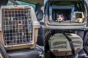 Transport Animale Mici și Mijlocii