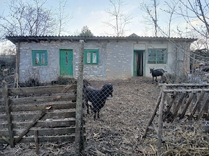 casa 30min de Mangalia,anunt vzlabil 17 aprilie - imagine 6