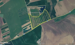 48 ha teren arabil la soseaua Arad -Siria - imagine 2