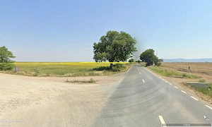48 ha teren arabil la soseaua Arad -Siria - imagine 5
