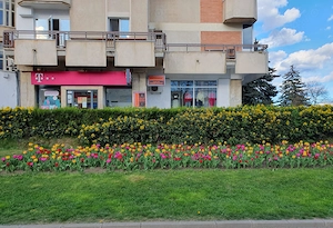 Spațiu ultracentral de închiriat mun. Câmpina, Ph.