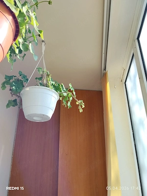 Apartament 2 camere confort 1, oras Giurgiu, bulevardul Bucuresti, zona linistita (spate Patibar) - imagine 5