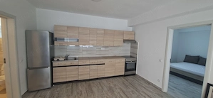 Inchiriem apartamente cu 2 camere si living openspace zona Turnisor  - imagine 9