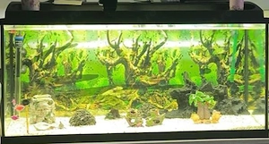 Vând acvariu din sticlă 