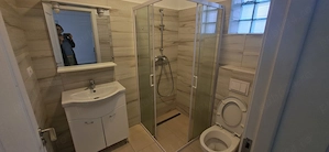 Inchiriem apartamente cu 2 camere si living openspace zona Turnisor  - imagine 17