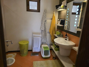 Vand casa zona Marasti Deva - imagine 5