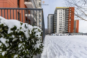 3 camere Denya Forest, curte 65 mp, 2 băi, terasă&parcare | Com 0% - imagine 20