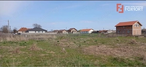 Teren intravilan de 400 mp in Peciu Nou - imagine 3