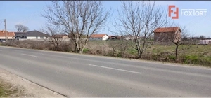 Teren intravilan de 400 mp in Peciu Nou - imagine 4