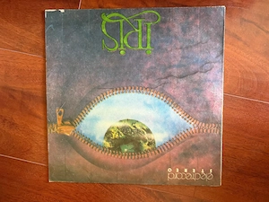 Discuri Vinyl diverse