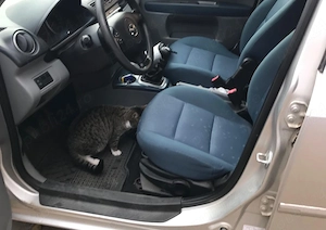 Vand Mazda 2 Benzina 2005 - imagine 3