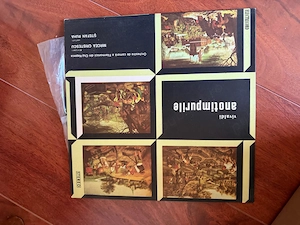 Discuri de vinyl diverse