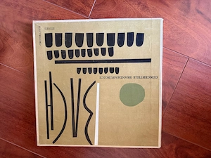 Discuri vinyl straine