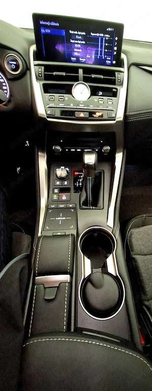  Lexus NX 300h F Sport Black Line Limited Edition, Alb perlat - imagine 10