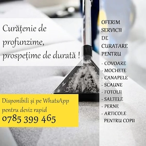 Curatare Canapele si Covoare la Domiciliu
