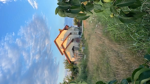 Casa si teren 1943 mp - imagine 3