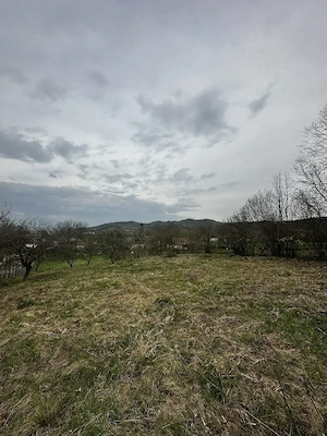 Casa si teren de vanzare(2700 mp), com Mica - imagine 11