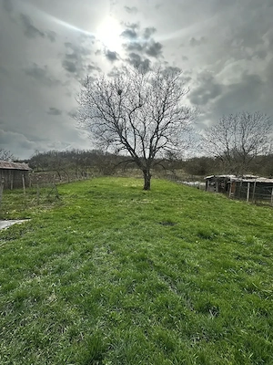 Casa si teren de vanzare(2700 mp), com Mica - imagine 10