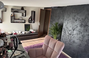 propietar inchiriez casa in timisoara zona dambovita - imagine 4