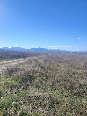 Teren pentru constructii case in Cristian