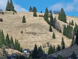 Teren Panoramic + Casă   Bucovina (Breaza, Suceava)   Vedere exceptională