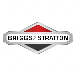 Piese Briggs & Stratton