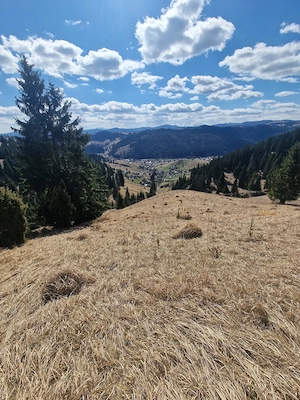 Teren Panoramic + Casă   Bucovina (Breaza, Suceava)   Vedere exceptională - imagine 5
