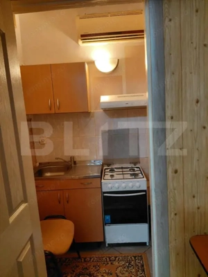 Proprietate de vânzare, 210 mp, zona Centru - imagine 5
