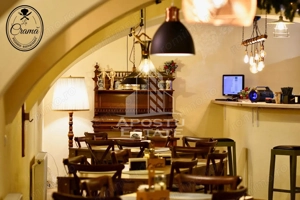 Afacere la cheie, in apropierea Castelului Corvinilor in Hunedoara - imagine 23