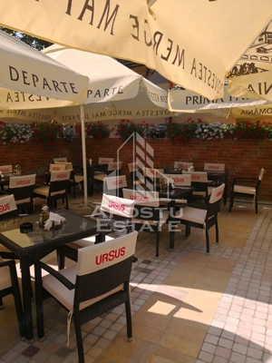 Afacere la cheie, in apropierea Castelului Corvinilor in Hunedoara - imagine 27