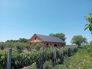 Livadă  de  vanzare  - imagine 4