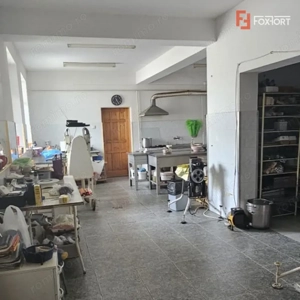 Oportunitate investitionala rara | Locatie ultracentrala | Mehala - imagine 10