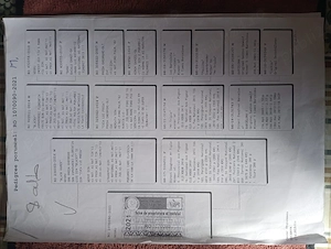 vand porumbei de viteza cu pedigree de concurs