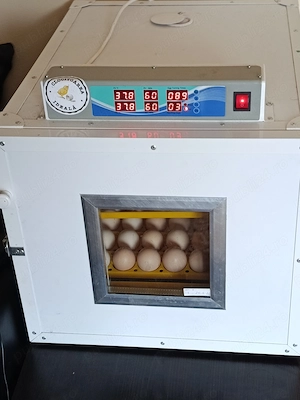 Vind incubator clocitoarea ideală MIP 110