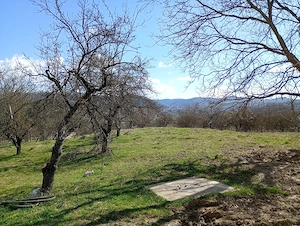 Vând teren DJ 715 Buciumeni-Bezdead - imagine 2