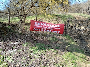 Vând teren DJ 715 Buciumeni-Bezdead - imagine 3