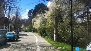 ALEEA CASTANILOR - APARTAMENT IN VILA, PARTER - imagine 15