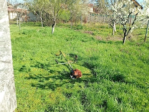 spatii verzi 