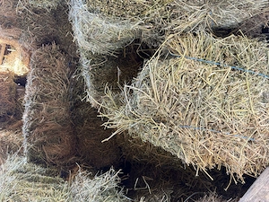 Vand baloti de lucerna