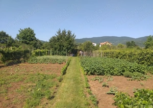 Teren Intravilan Vanzare 1400 mp. Alba Micesti deschidere 16m. Toate Utilitatile