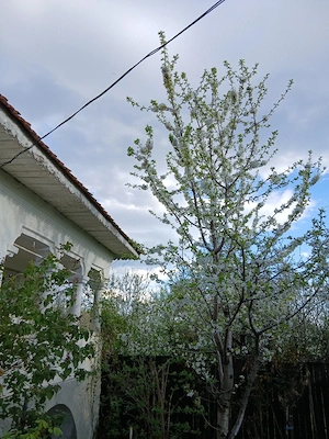 Casa caramida Dobrita Runcu Gorj cu 45.000 euro. - imagine 6