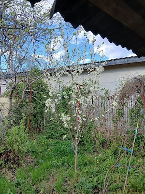 Casa caramida Dobrita Runcu Gorj cu 45.000 euro. - imagine 8