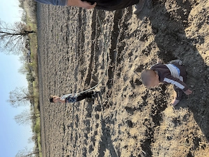 Car auto exit angajeaza mecanic. Pentru mai multe detalii   - imagine 5