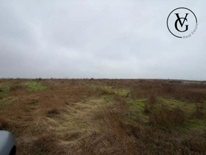 Teren 1000 mp Palazu Mare | Ideal investiție  - imagine 4